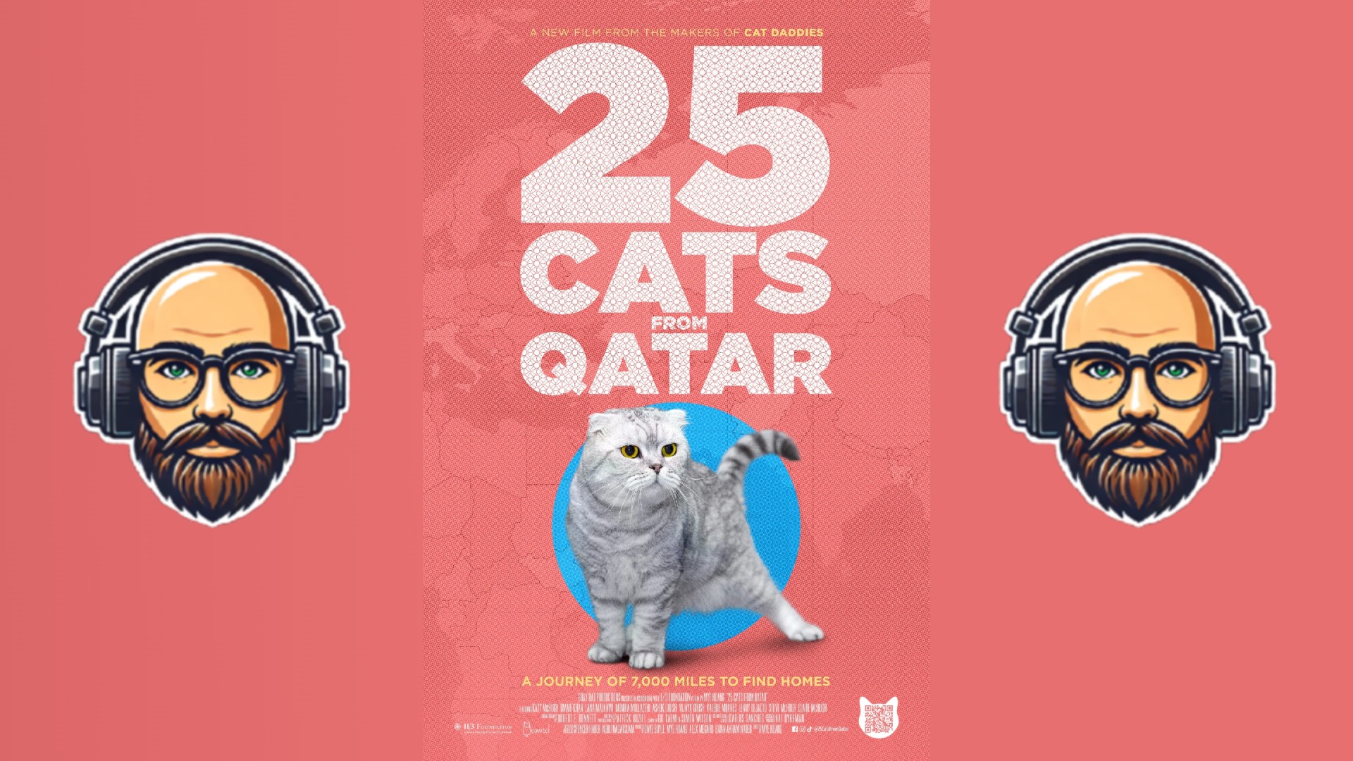 25 Cats From Qatar