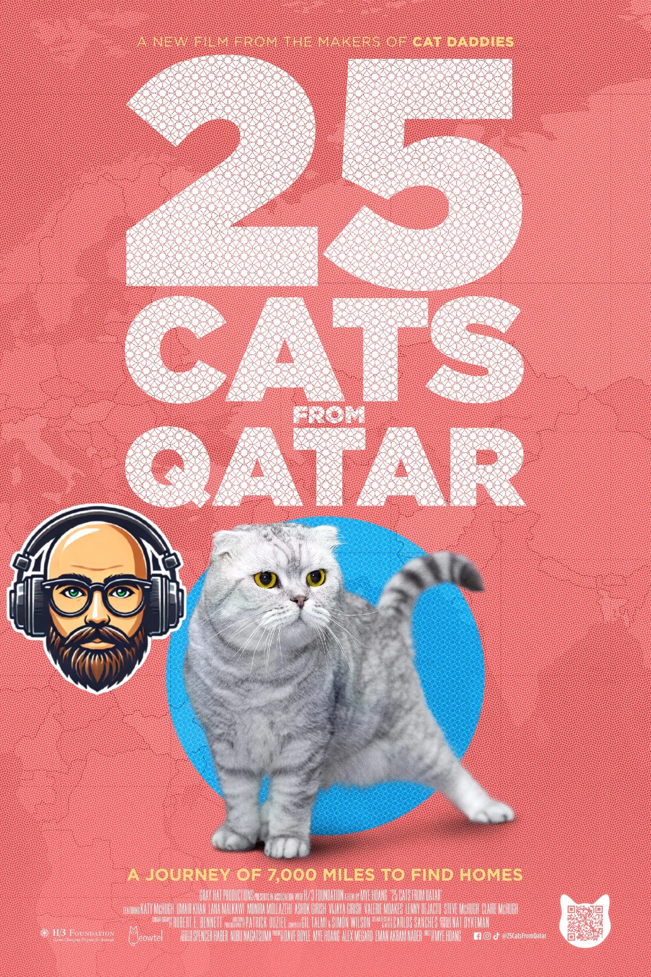 25 Cats From Qatar